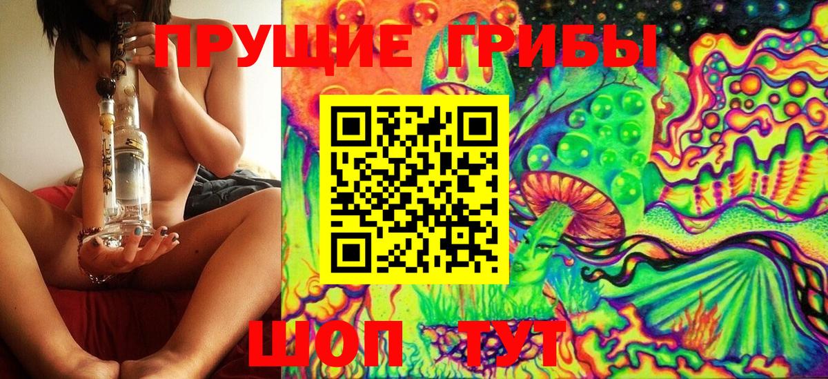 Псилоцибиновые грибы прущие грибы Сальск