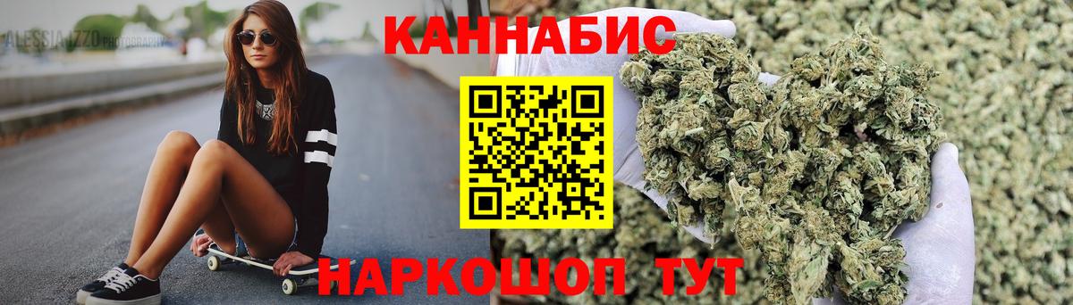 Бошки марихуана конопля Сальск